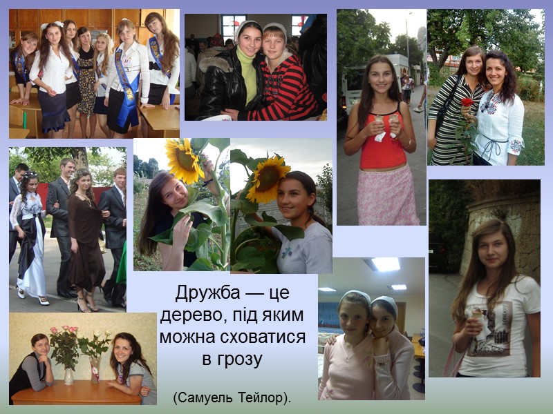 Дружба — це дерево, під яким можна сховатися в грозу (Самуель Тейлор).